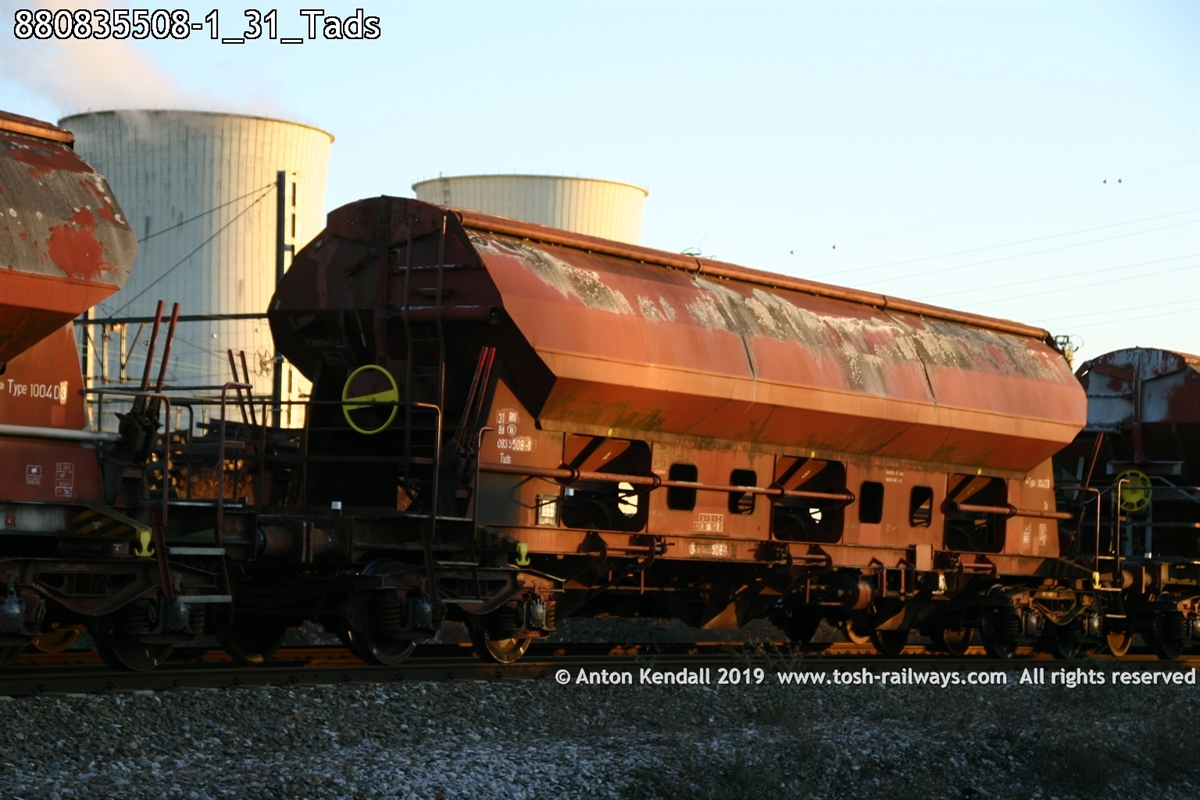 880835508-1_31_Tads.jpg